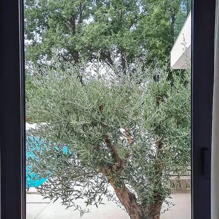 Villa Lux Natura Porec